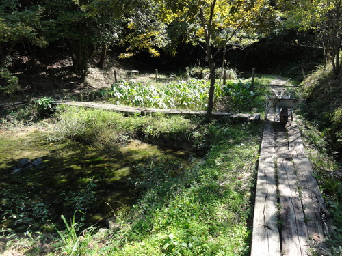 c0108460_1620093.jpg