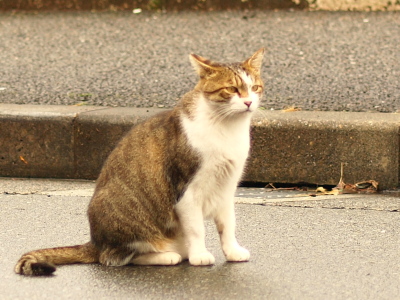 b0180764_115112.jpg