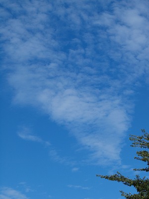 b0180764_145053.jpg