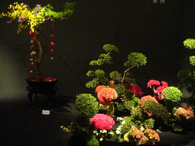 e0086864_23485511.jpg