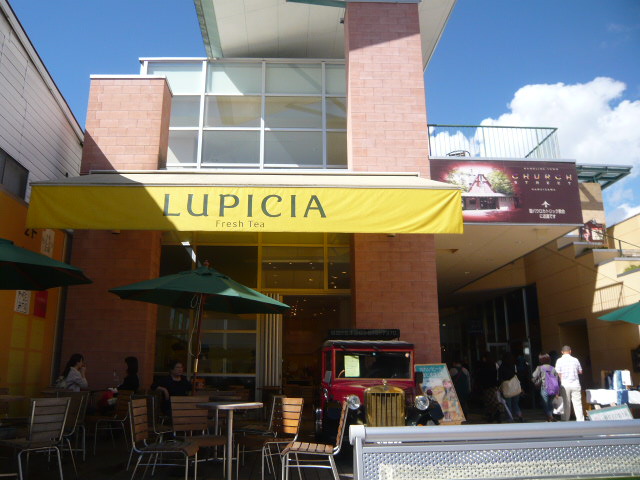 c0100865_1010228.jpg