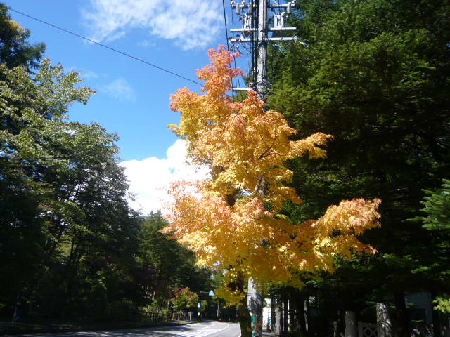 c0100865_1012484.jpg