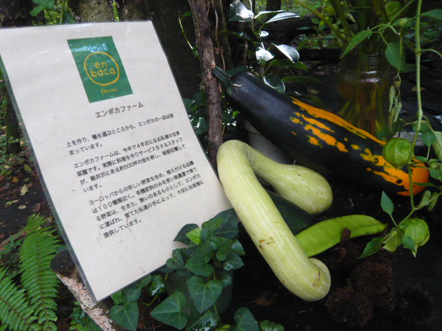 c0100865_1022463.jpg