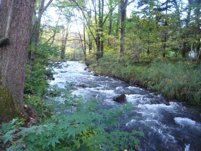 c0100865_10303616.jpg