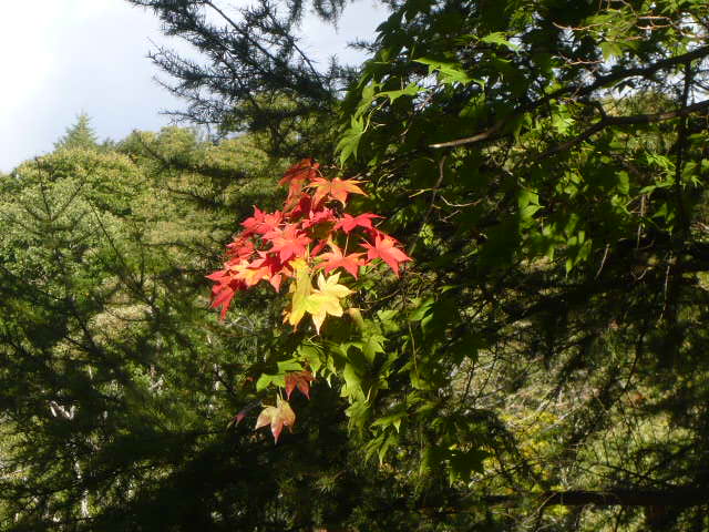 c0100865_10315222.jpg