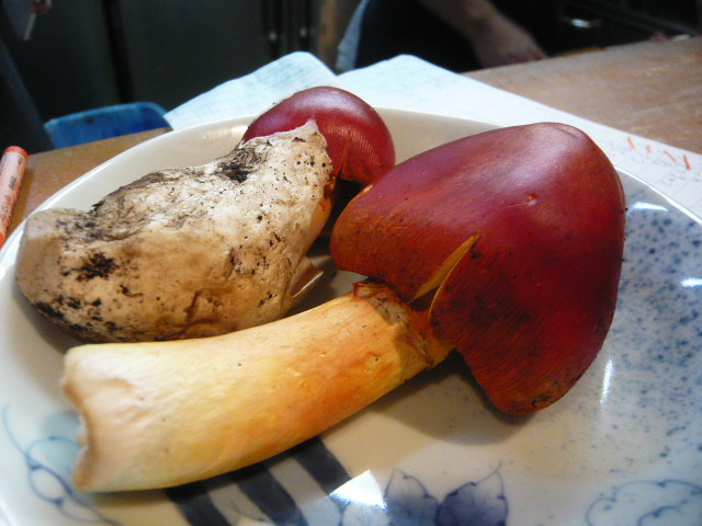 c0100865_10411535.jpg