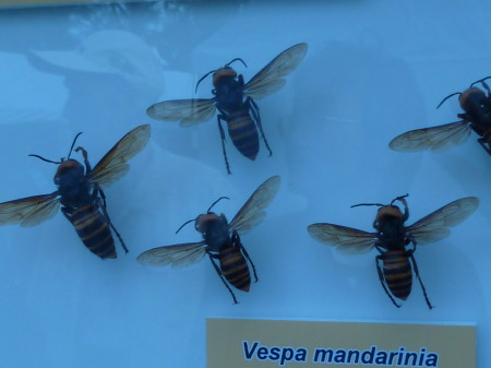 d0173368_18299.jpg