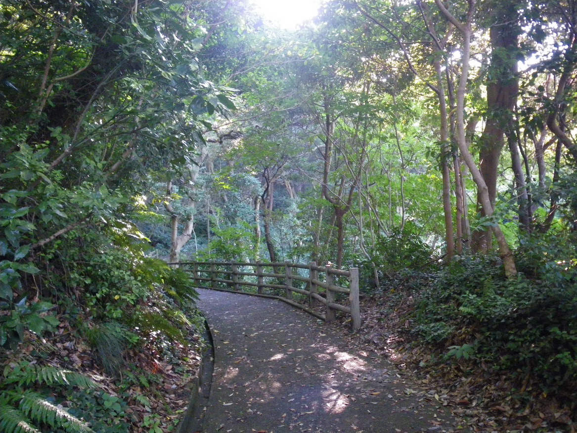 f0157268_23244651.jpg