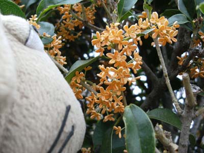 c0158573_15501328.jpg