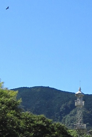 c0160488_18433621.jpg