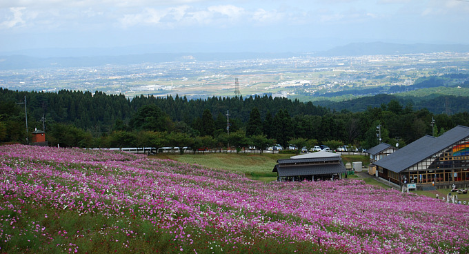 c0156789_20121432.jpg