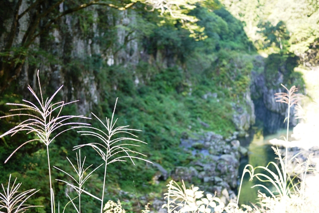 a0127090_20211865.jpg