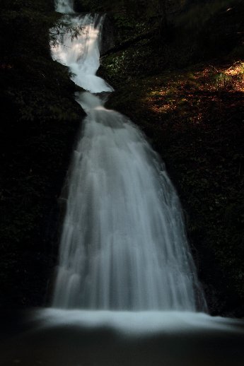 雨上がり　阿寺の七滝とノコンギク_b0012595_20581457.jpg