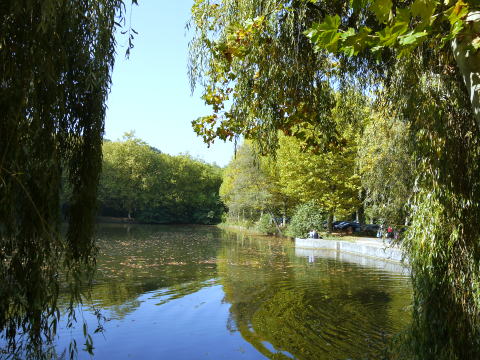 c0090198_402492.jpg