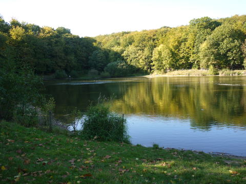 c0090198_4125991.jpg