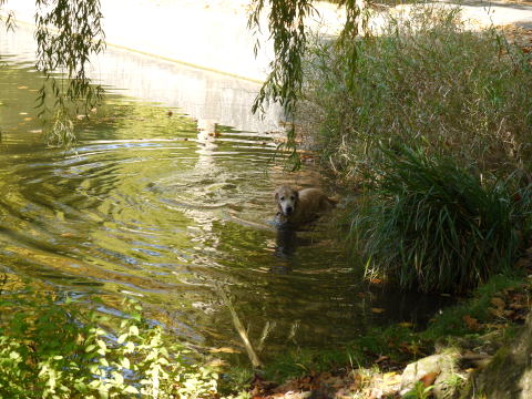 c0090198_422353.jpg