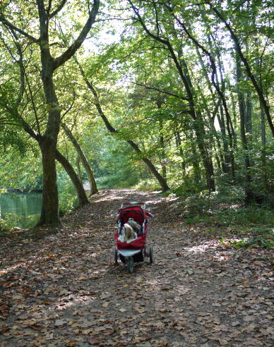 c0090198_43617.jpg