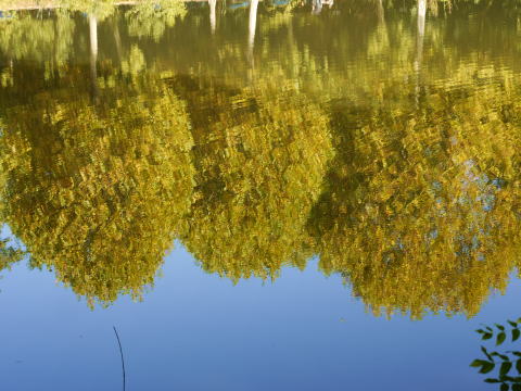 c0090198_44388.jpg