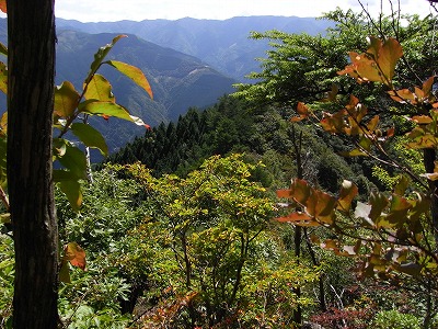 f0187402_2323121.jpg