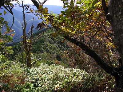 f0187402_23231740.jpg