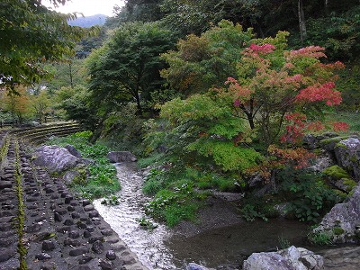 f0187402_2324486.jpg