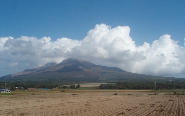 b0198109_1081345.jpg