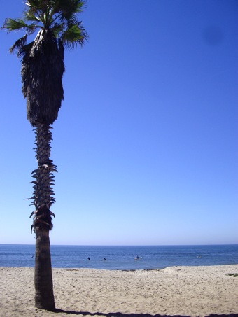 a0112911_84076.jpg