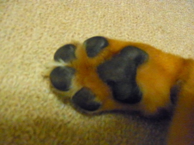 f0218911_8145810.jpg