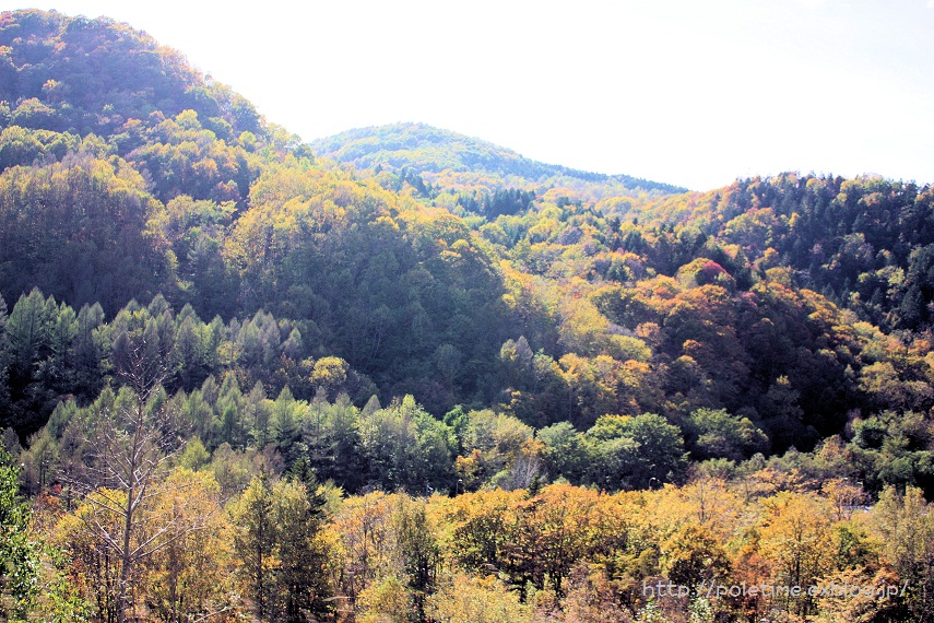 c0200413_9523520.jpg
