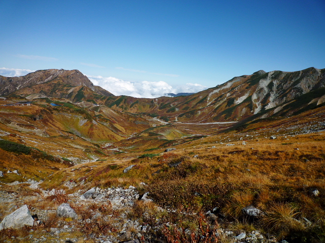 立山に登りました　ＮＯ２_d0170615_13495128.jpg