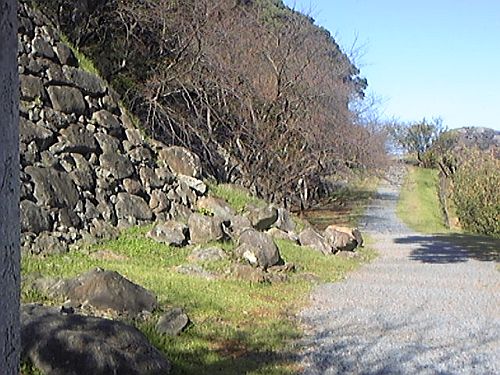 e0114015_16422322.jpg