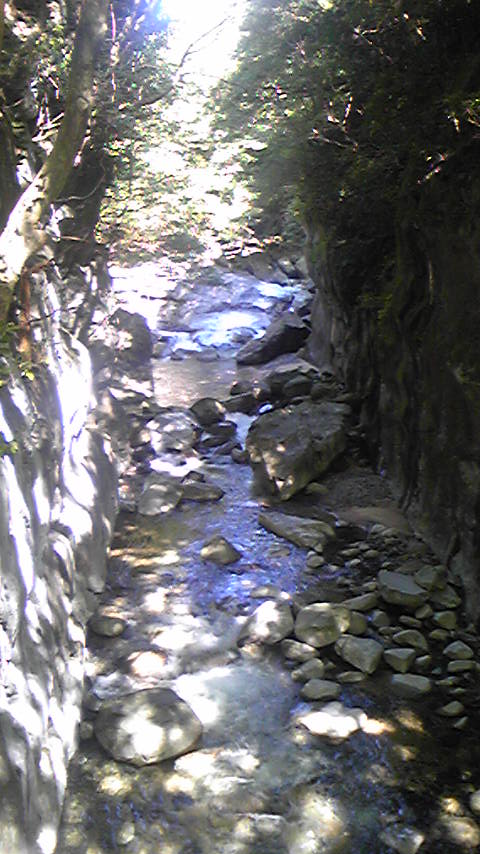 椿大神社～小岐須渓谷～ベイシア～漆山まつり_d0004717_5341696.jpg