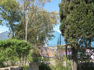 f0135018_829514.jpg