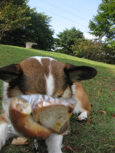 和光樹林公園へ~♪_f0155118_811379.jpg