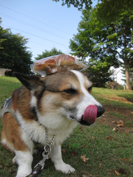 和光樹林公園へ~♪_f0155118_8115922.jpg