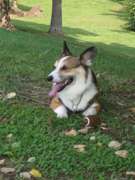和光樹林公園へ~♪_f0155118_8122890.jpg