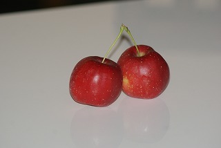 f0170524_10572230.jpg