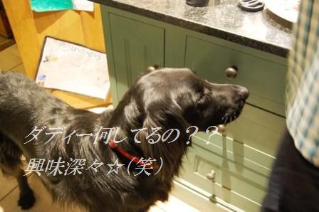 鶏のソテー☆ ねぎザーサイの食べるラー油和え乗せ_d0104926_1343761.jpg