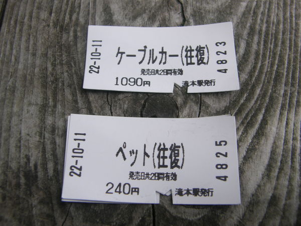 e0204927_154948100.jpg