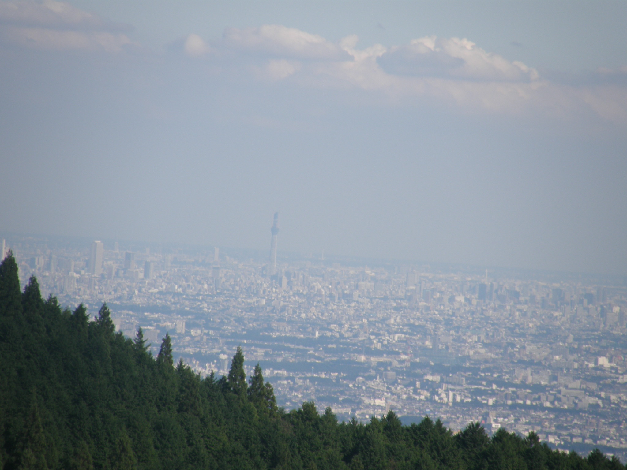 e0204927_16302552.jpg