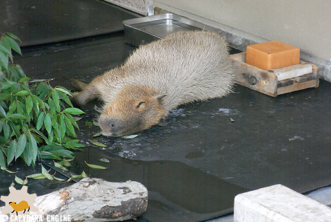 水よりも濃いもの_f0138828_21322188.jpg