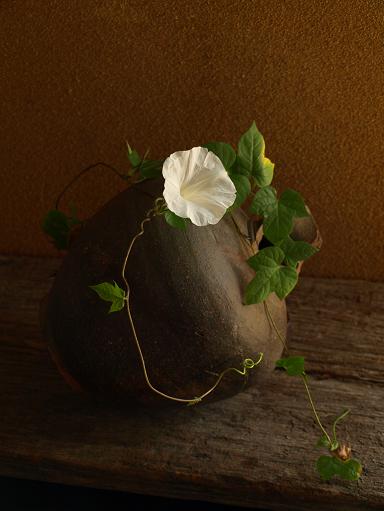 20101012.jpg