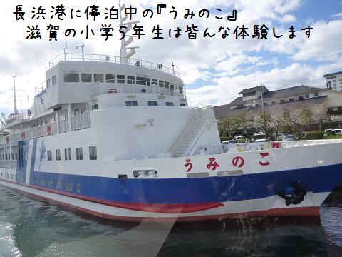 b0138430_20294030.jpg
