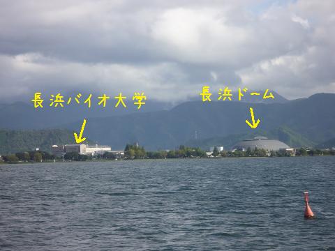 b0138430_20502547.jpg