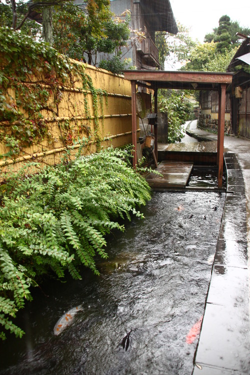 d0055236_1271518.jpg