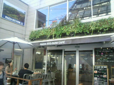 piazza　eco‐farmcafe　＠裏原宿_c0077741_0344042.jpg