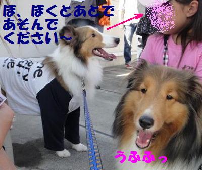 HF秋の楽しいオフ会・その2_e0195743_15171846.jpg