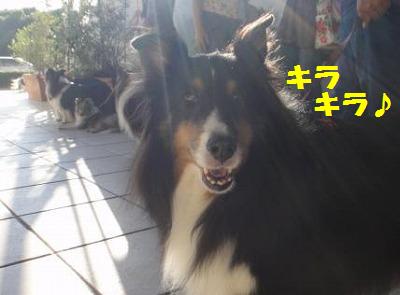 HF秋の楽しいオフ会・その3_e0195743_18563096.jpg