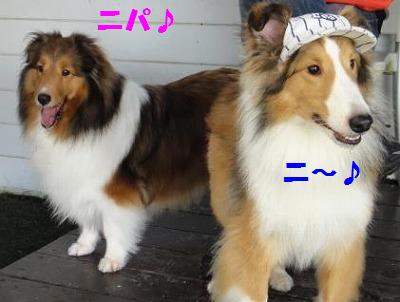 HF秋の楽しいオフ会・その3_e0195743_18564590.jpg