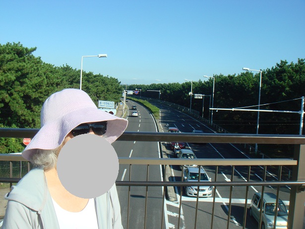 b0147444_18511859.jpg